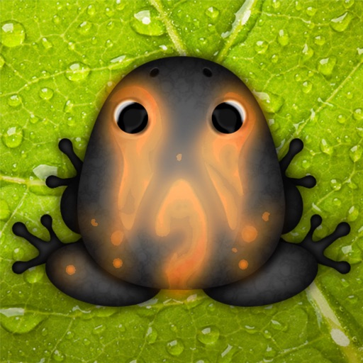 Pocket Frogs app icon