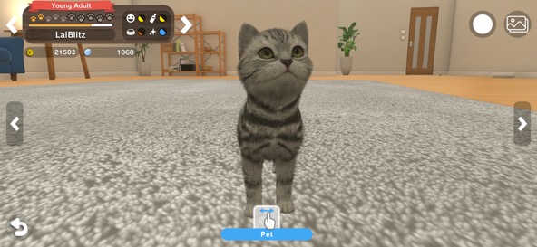 with My Buddy gameplay screenshot — a cute 3D kitten companion to care for, in the warm pet-loving spirit of Cats and Soup